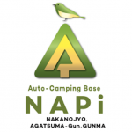 napi_logo